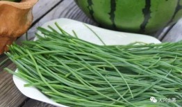 吃瓜陇南网红,揭秘网红背后的故事