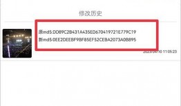 阿诺爆料视频大全下载安装,下载安装攻略全解析